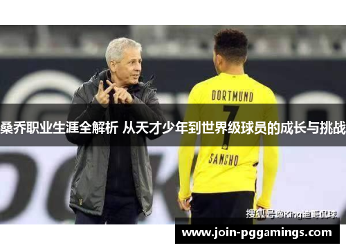 桑乔职业生涯全解析 从天才少年到世界级球员的成长与挑战